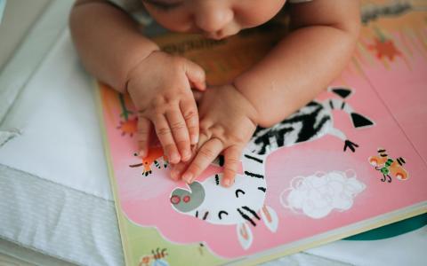 Baby betastet Pappbuch